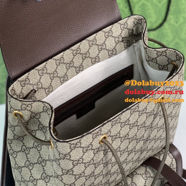 Luxury gucci Ophidia GG backpack 792114