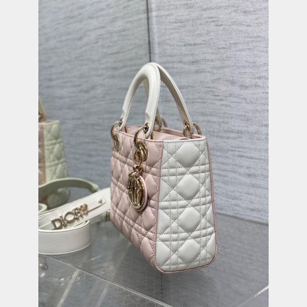 Perfect Quality Replica Christian Lady Dior 17/20cm Bags