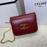 Designer Teen Triomphe Shiny 113583 Amazone Celine Replica Bag